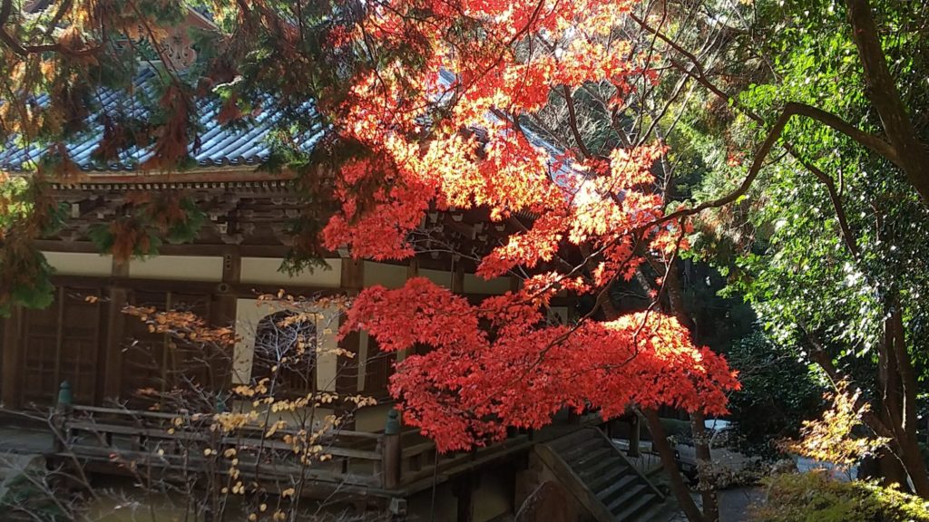 播州清水寺 兵庫県加東市 で紅葉を楽しむ 年11月 身近なリハビリをつぶやく